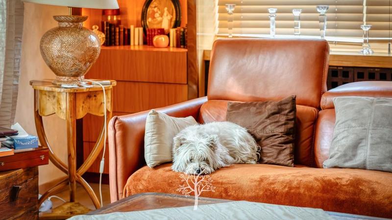 Maison - 270 m² - 8 pièces