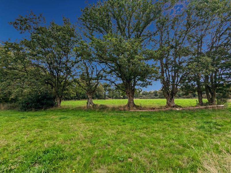 Maison - 120 m² - 3 pièces