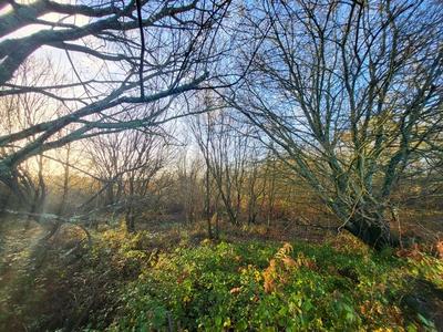 Terrain - 62 680 m²