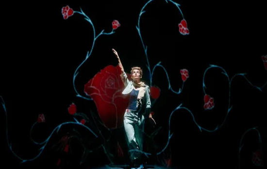 Théâtre : le Petit Prince