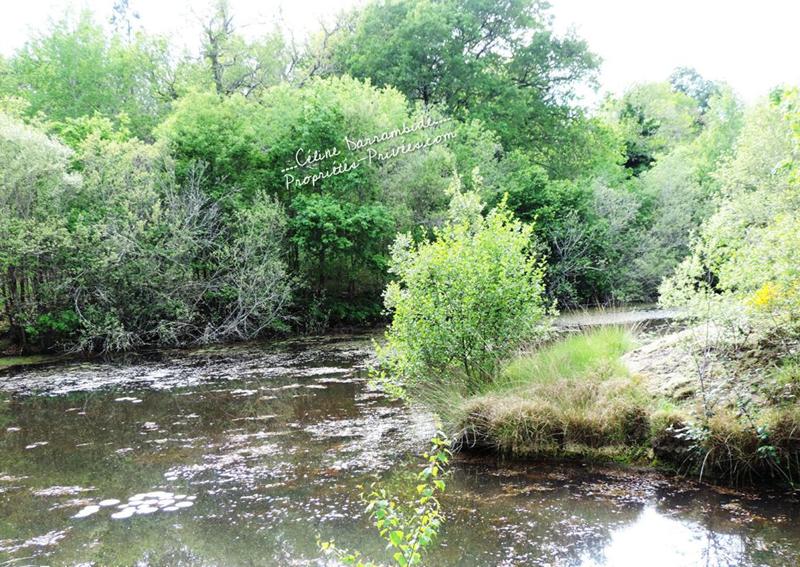 Maison - 200 m² - 7 pièces