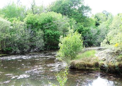 Maison - 200 m² - 7 pièces