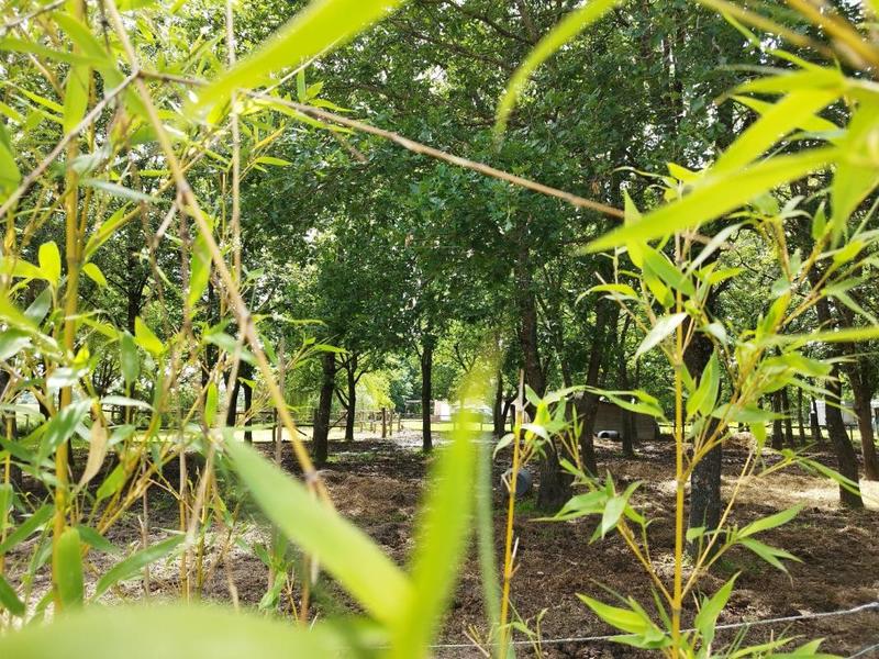 Propriété - 221 m² - 10 pièces