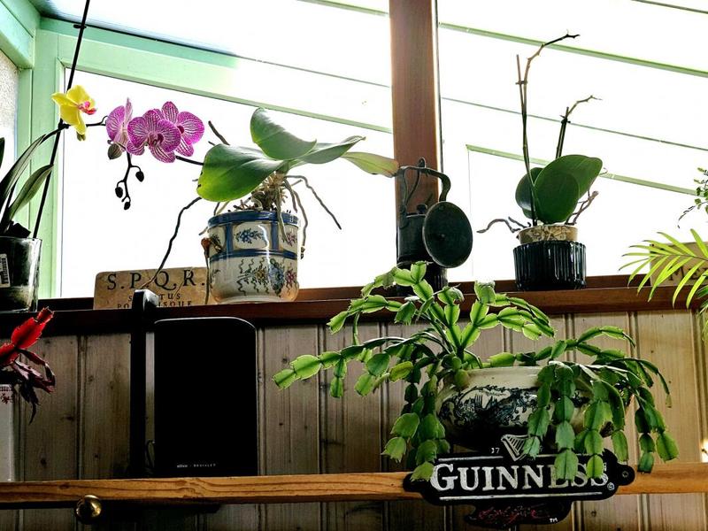 Maison de ville - 139 m² - 7 pièces