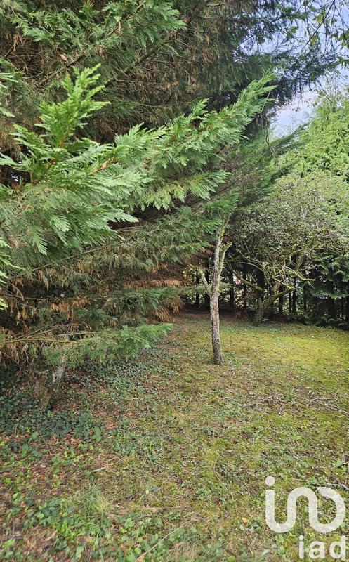 Maison - 100 m² - 3 pièces