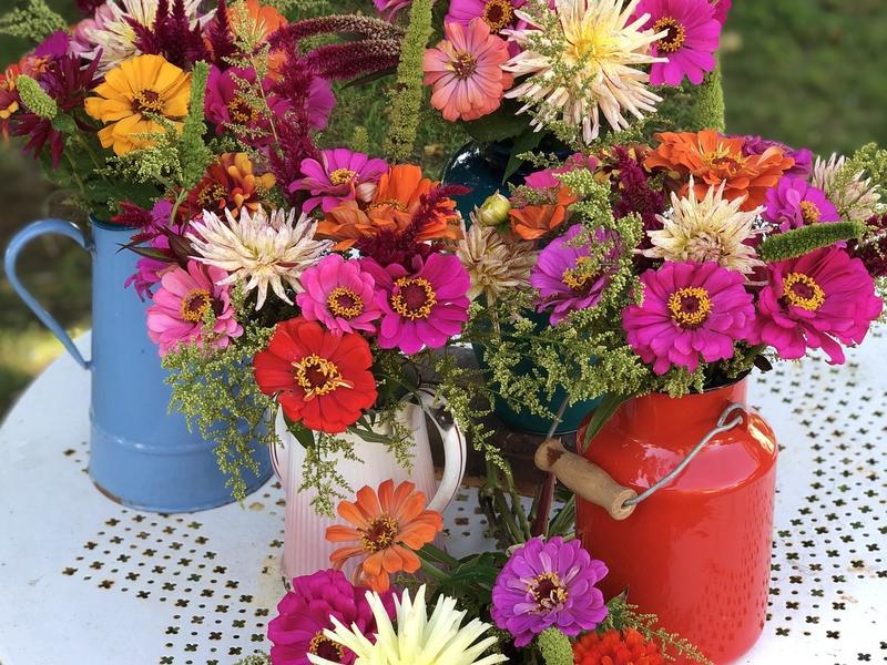 De ferme en ferme : Lasserre en fleurs