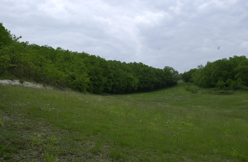 Terrain agricole - 220 000 m²