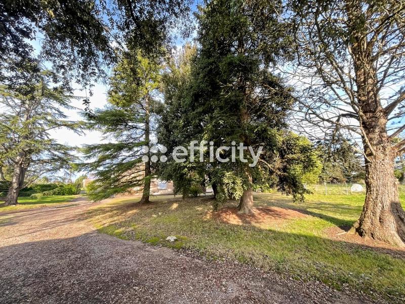 Longère - 161 m² - 4 pièces