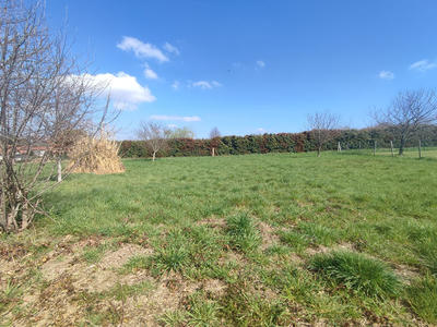 Terrain - 1 315 m²
