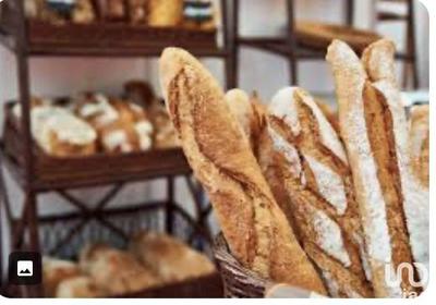 Local commercial - 600 m²