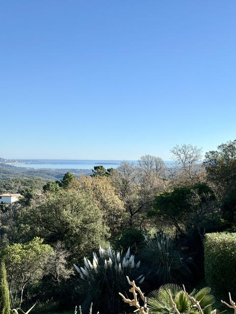 Villa - 305 m² - 10 pièces