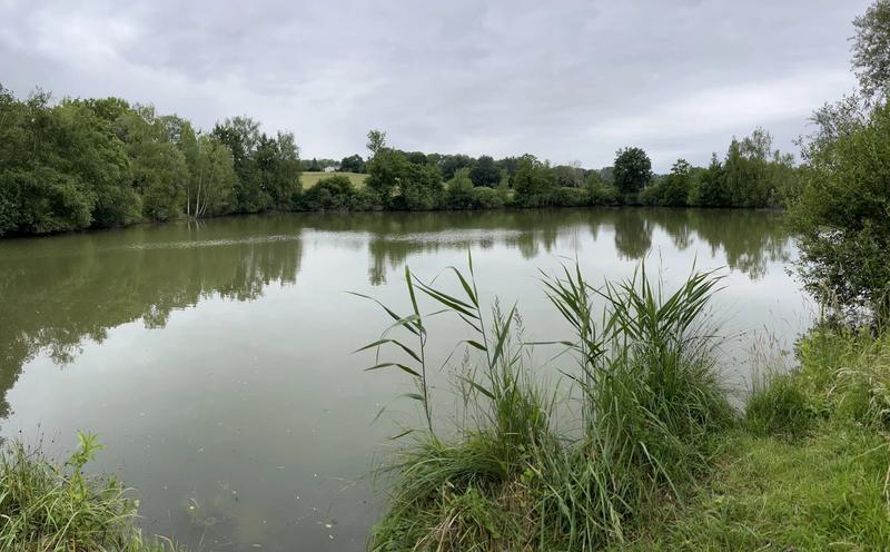 Terrain - 15 129 m²