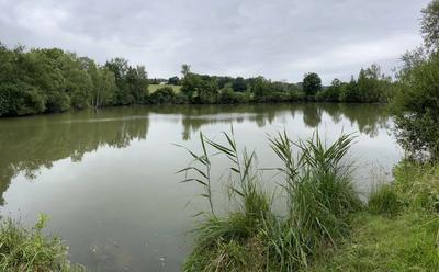 Terrain - 15 129 m²