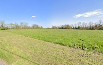 Terrain - 11 715 m²