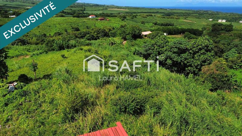 Terrain - 8 861 m²