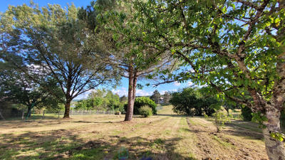 Maison - 116 m² - 5 pièces