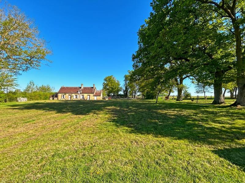 Maison de domaine équestre - 520 m² - 7 pièces