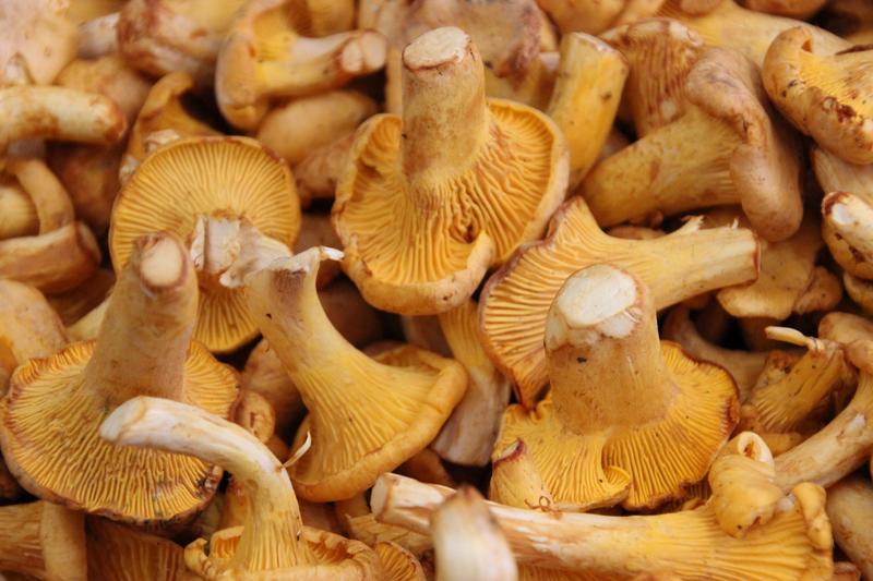 Le Hameau Fleur de Pierres Restaurant Murs