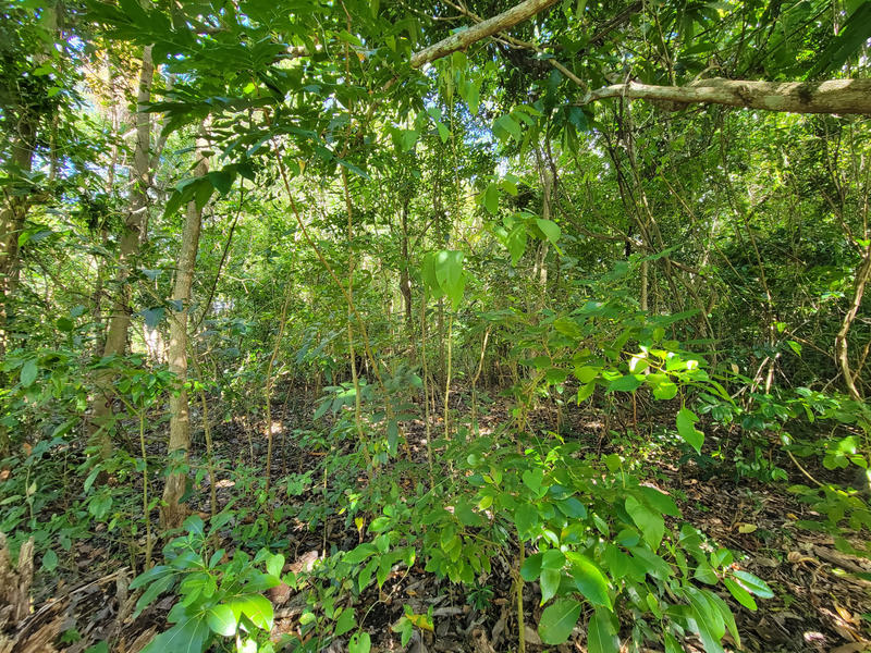 Terrain - 18 170 m²