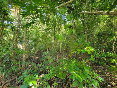 Terrain - 18 170 m²