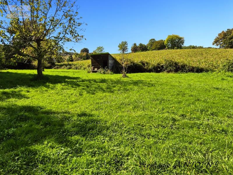 Maison - 284 m² - 9 pièces