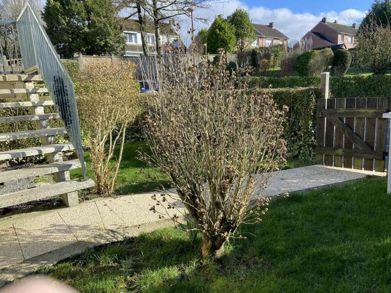 Maison - 121 m² - 5 pièces