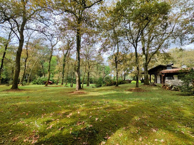 Maison - 258 m² - 8 pièces