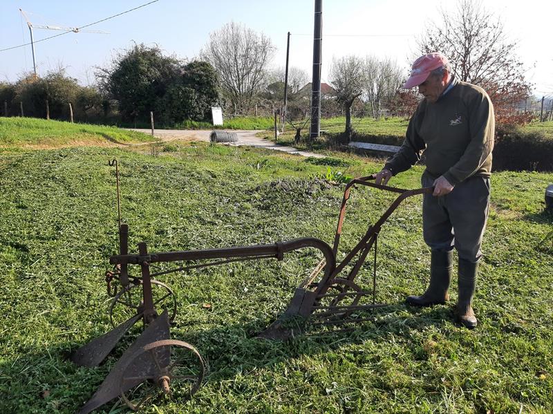 Découverte de la vigne et de ses outils d'antan