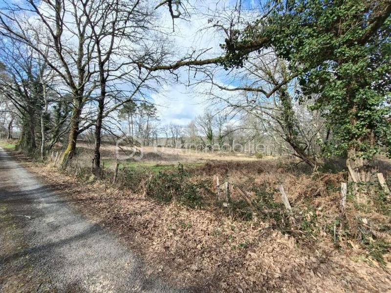 Terrain industriel - 2 301 m²