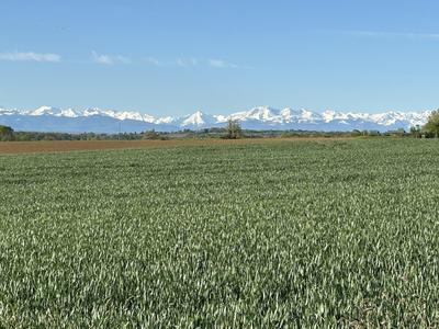 Maison - 191 m² - 16 pièces