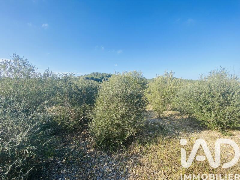 Terrain - 4 910 m²