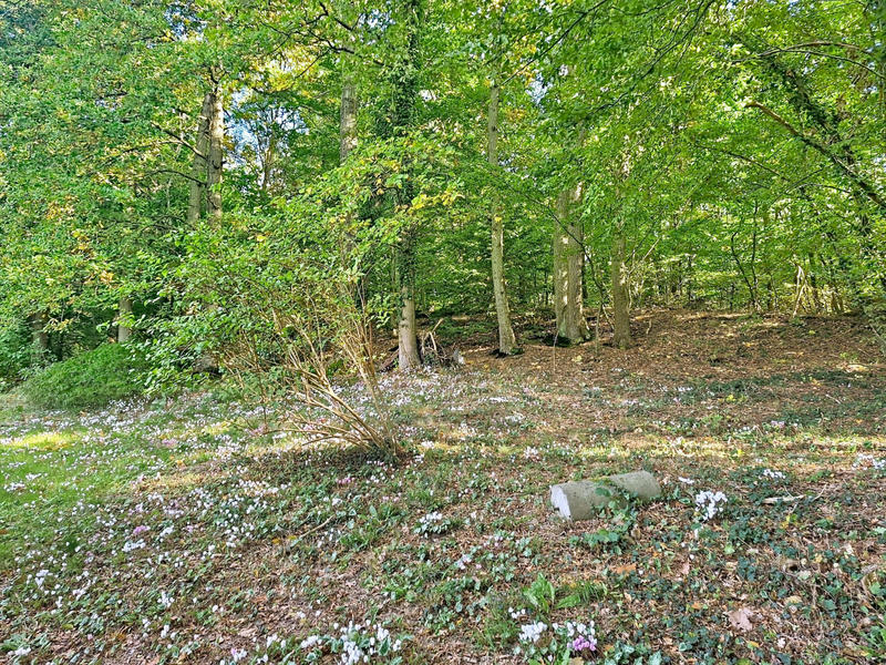 Maison - 51 m² - 3 pièces