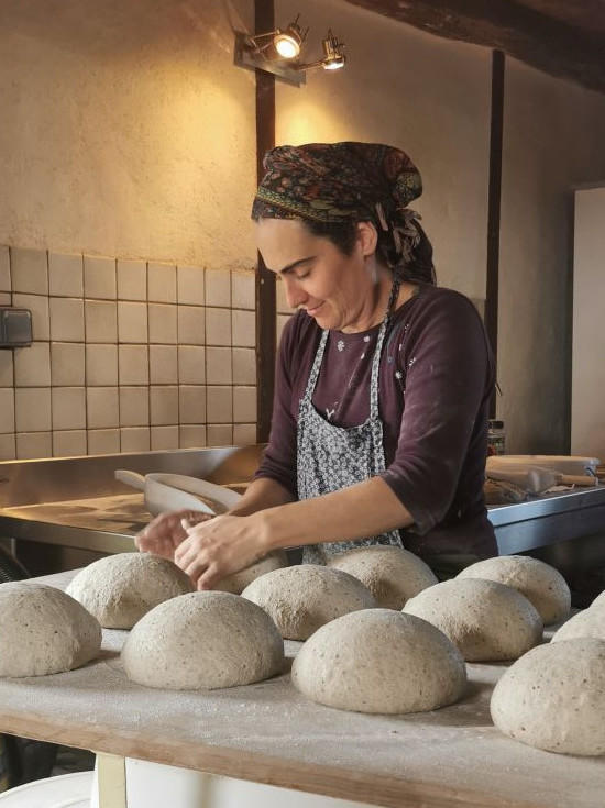 Du grain au pain, du champ au fournil !