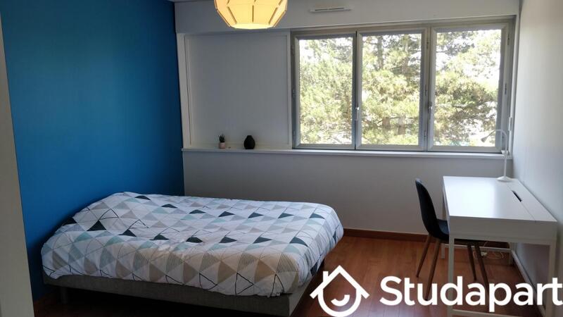 Chambre - 14 m² - 1 pièce