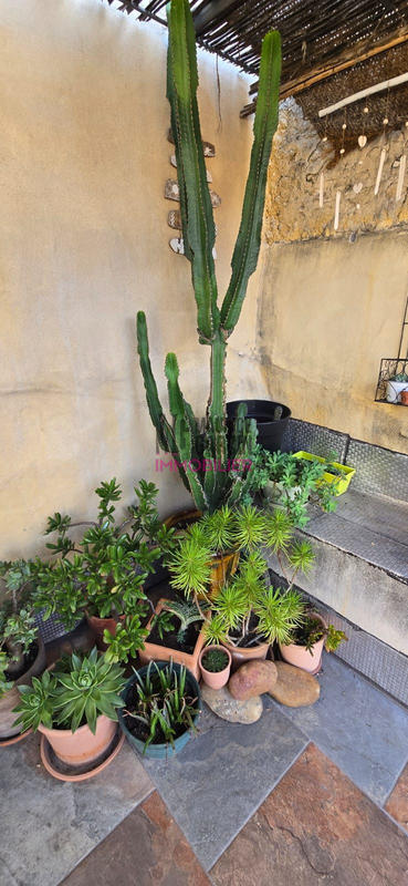 Maison - 75 m² - 4 pièces