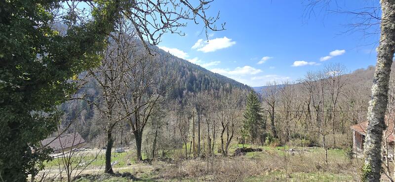 Maison - 101 m² - 5 pièces