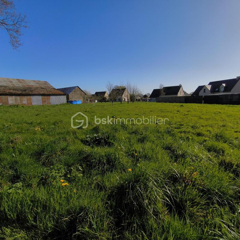 Terrain - 1 597 m²