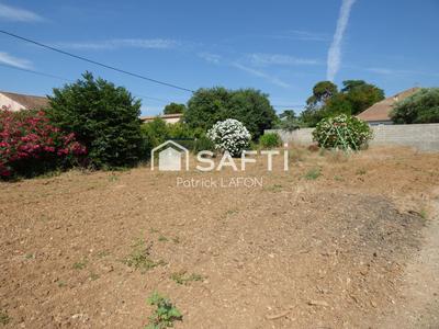 Terrain - 319 m²