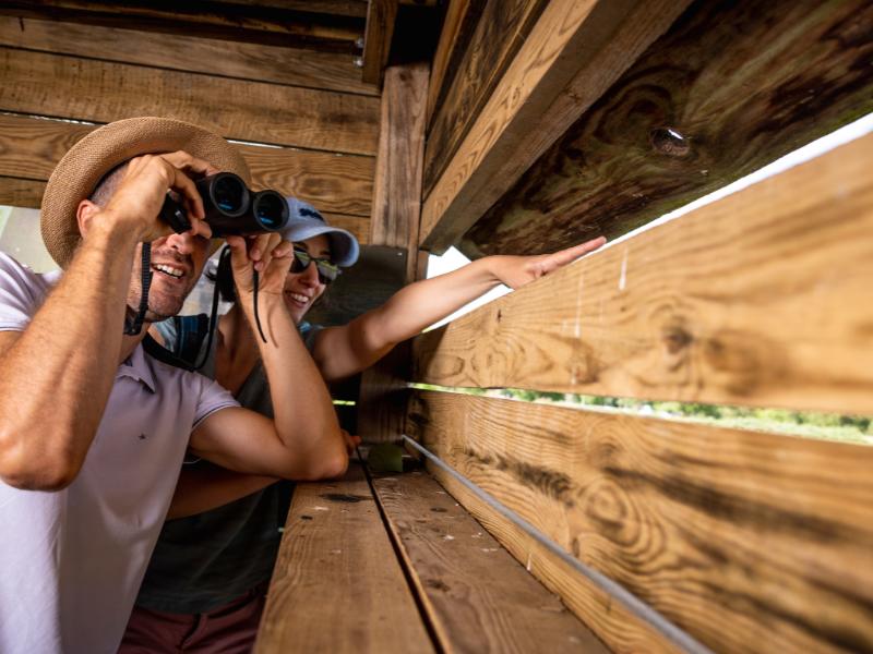 Semaine de la Biodiversité - Visite guidée de Terres d'Oiseaux avec un bagueur professionnel Jean-Pierre Baudet