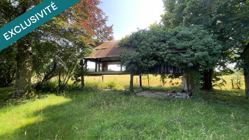 Terrain - 10 201 m²