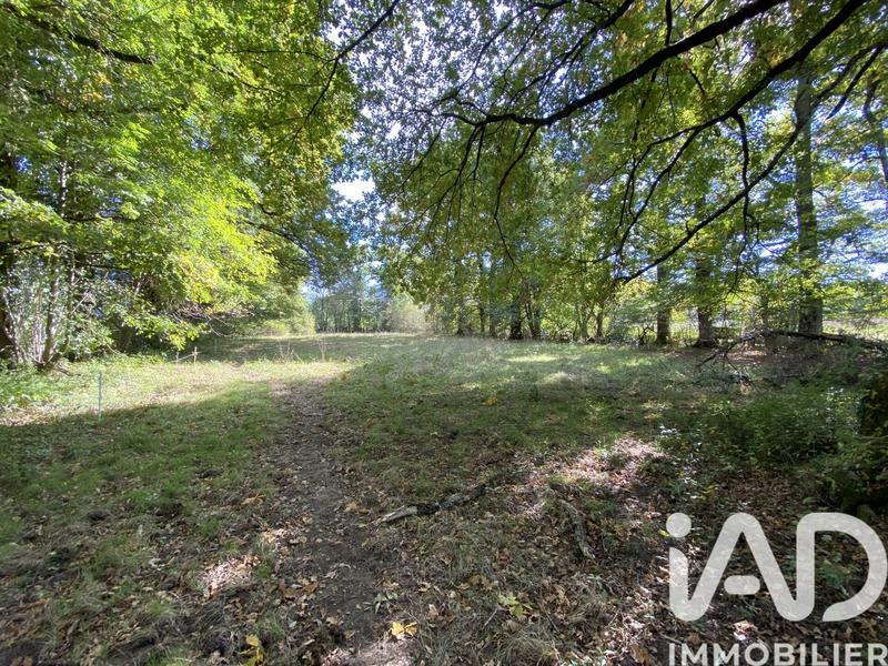 Maison - 85 m² - 5 pièces