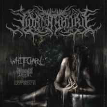 Lorna Shore