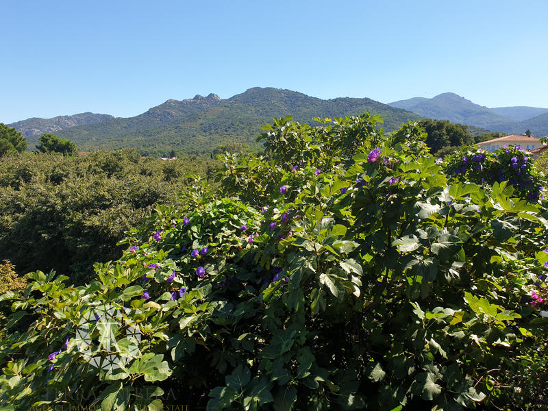 Duplex - 68 m² - 3 pièces