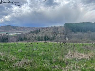 Terrain constructible - 6 408 m²