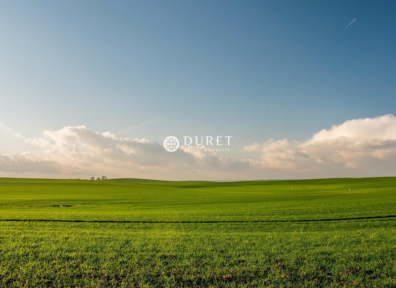 Terrain commercial - 14 000 m²