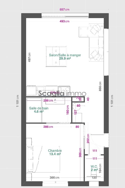 Appartement - 50 m² - 2 pièces