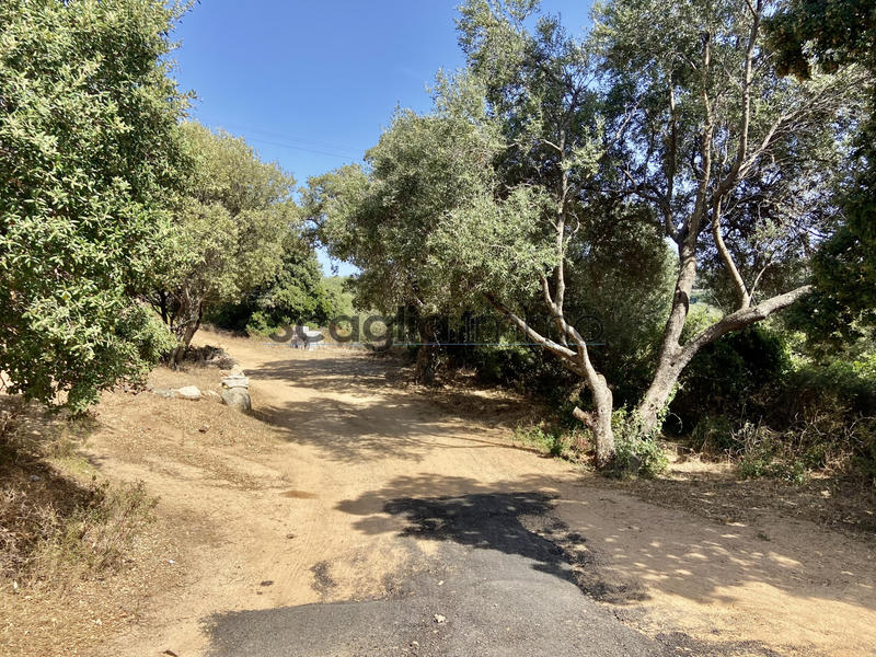 Maison - 76 m² - 3 pièces