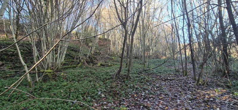 Maison - 40 m² - 2 pièces