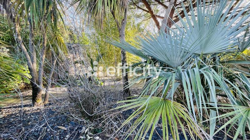 Maison en pierre - 200 m² - 8 pièces