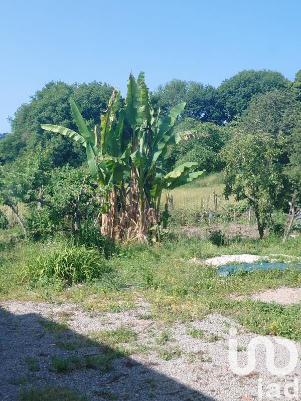 Maison de village - 295 m² - 7 pièces